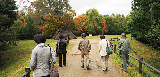 ファイル 11-1.jpg