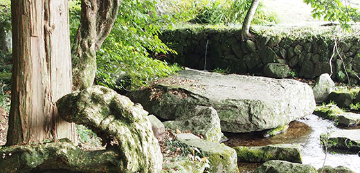 ファイル 11-2.jpg