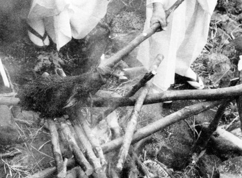 ファイル 116-1.jpg