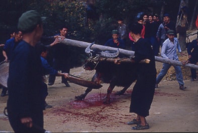 ファイル 161-2.jpg