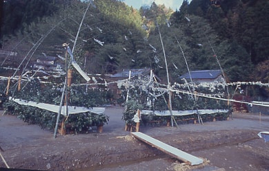 ファイル 162-3.jpg