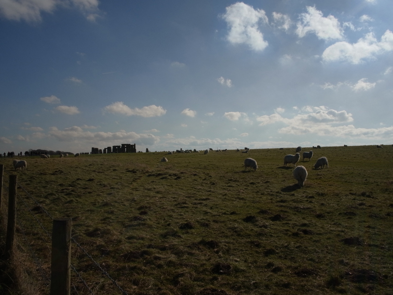 ファイル 170-1.jpg