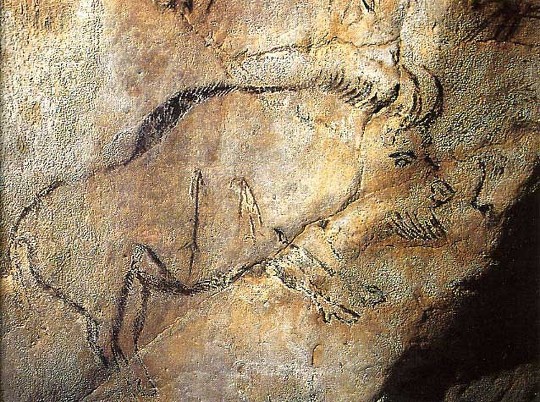 ファイル 27-1.jpg