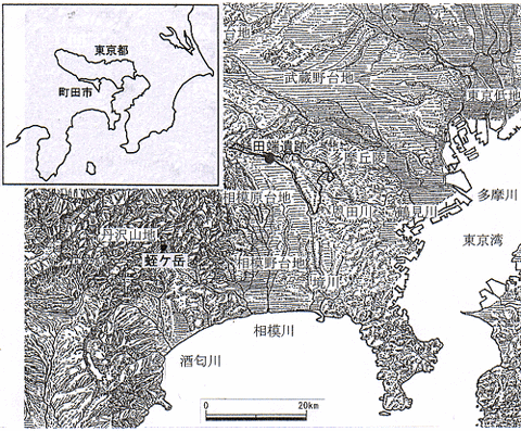 田端遺跡