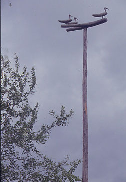 ファイル 68-5.jpg