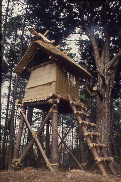 ファイル 70-5.jpg