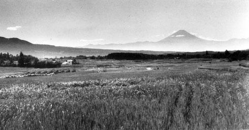 ファイル 76-2.jpg