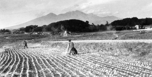 ファイル 76-3.jpg